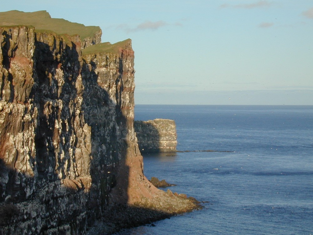 Latrabjärg, Islande, 07/2001