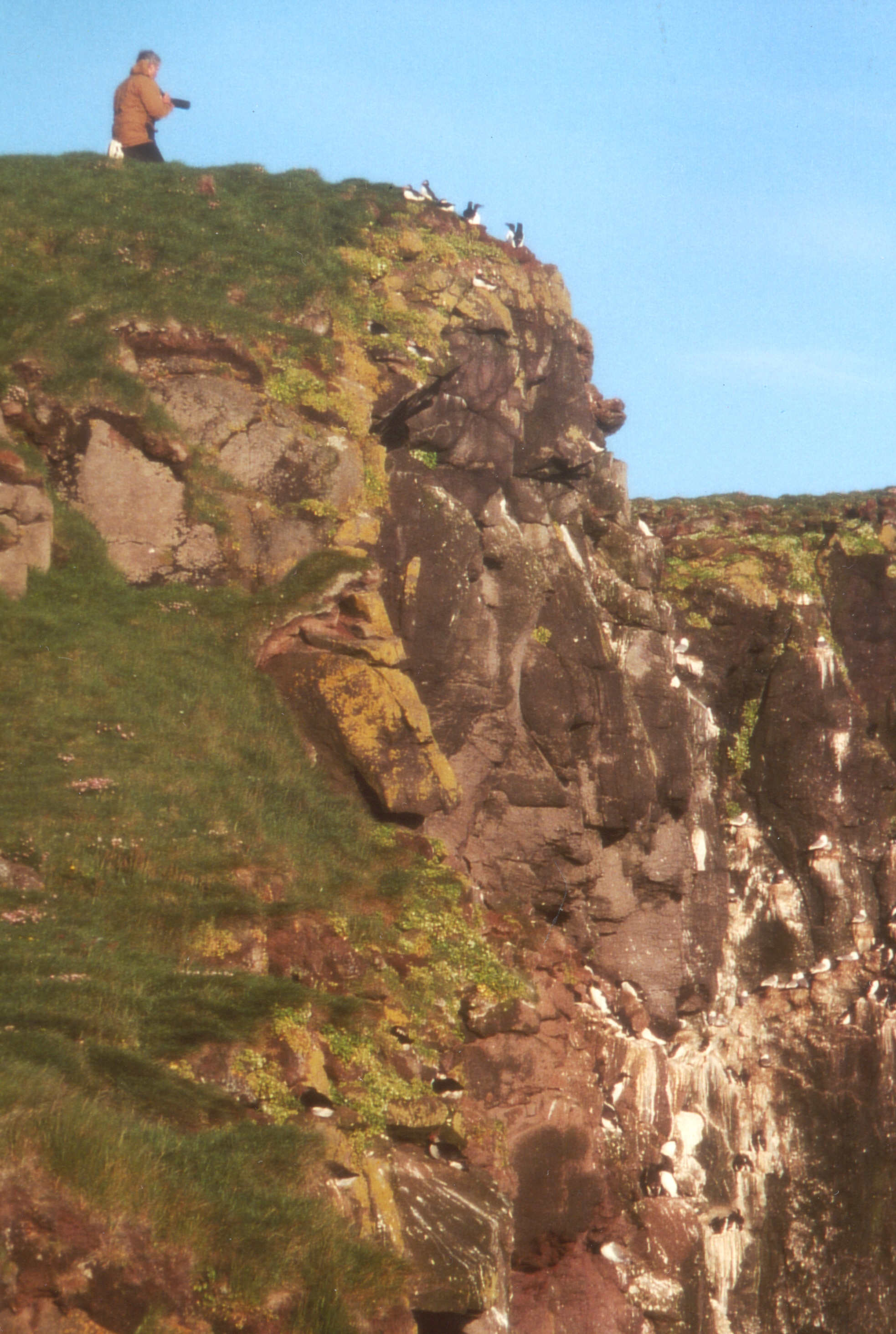 Latrabjärg, Islande, 07/2001