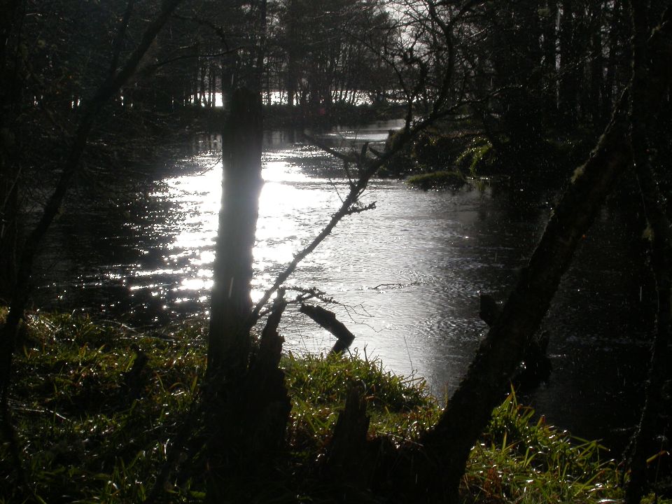 Aviemore, Ecosse, 04/2004