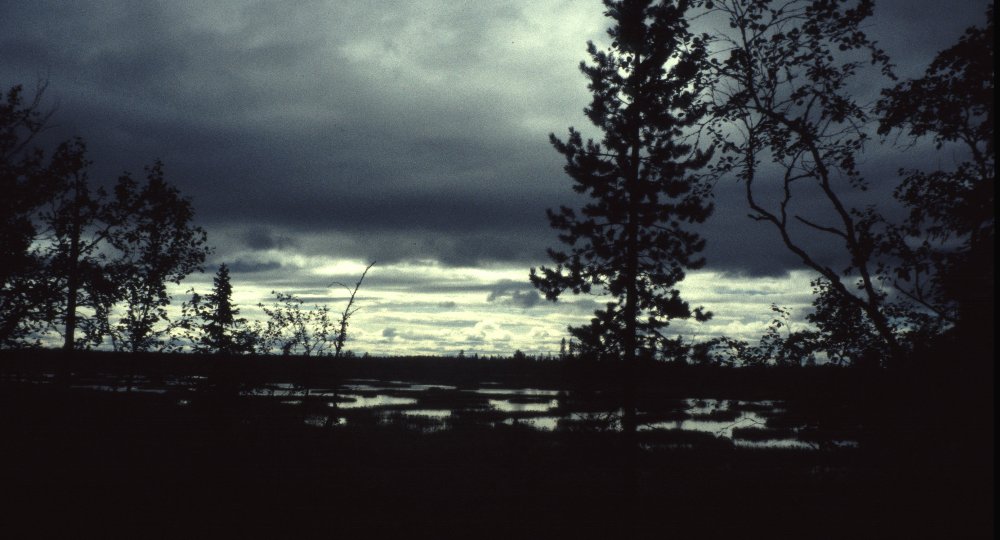 Muddus, Laponie suédoise, 07/2000