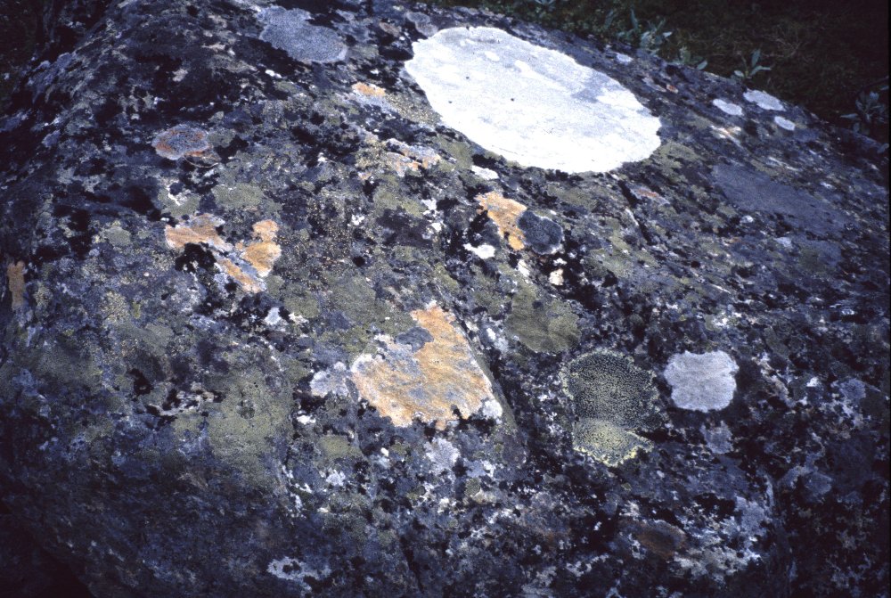 Laponie suédoise, 07/2000