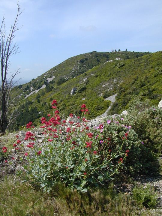 Les Baux de Provence, Provence, 05/2003